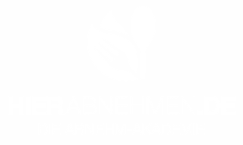 Logo abnehmen1